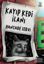 Kayıp Kedi İlanı